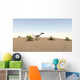 Coelophysis Walking across Barren Wall Decal Design 1
