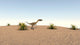Coelophysis Walking across Barren Wall Decal Design 1