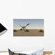 Coelophysis Running across Desert Wall Decal