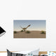 Coelophysis Running across Desert Wall Decal