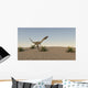 Coelophysis Running across Desert Wall Decal