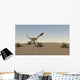 Coelophysis Running across Desert Wall Decal