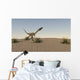 Coelophysis Running across Desert Wall Decal