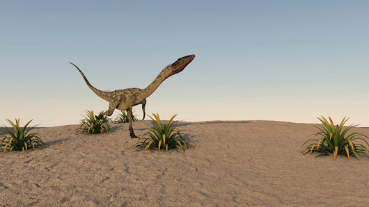 Coelophysis Running across Desert Wall Decal
