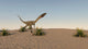 Coelophysis Running across Desert Wall Decal