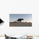 Triceratops Walking across Barren Wall Decal Design 3