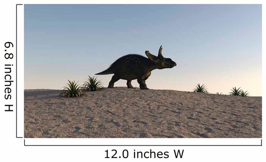 Triceratops Walking across Barren Wall Decal Design 3