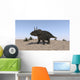 Triceratops Walking across Barren Wall Decal Design 2