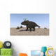 Triceratops Walking across Barren Wall Decal Design 2