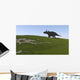 Triceratops Walking across Grassy Wall Decal Design 2