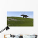Triceratops Walking across Grassy Wall Decal Design 2