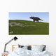 Triceratops Walking across Grassy Wall Decal Design 2