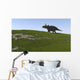 Triceratops Walking across Grassy Wall Decal Design 2