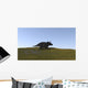 Triceratops Walking across Grassy Wall Decal Design 1