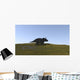 Triceratops Walking across Grassy Wall Decal Design 1