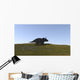 Triceratops Walking across Grassy Wall Decal Design 1