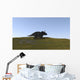Triceratops Walking across Grassy Wall Decal Design 1