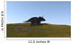 Triceratops Walking across Grassy Wall Decal Design 1