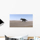 Triceratops Walking across Barren Wall Decal Design 1