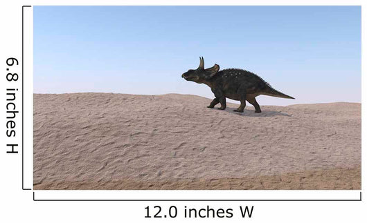 Triceratops Walking across Barren Wall Decal Design 1