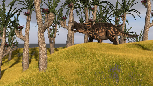 Einiosaurus Grassy Field Wall Decal