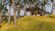 Einiosaurus Grassy Field Wall Decal