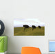 Three Einiosaurus Dinosaurs Walking Wall Decal Design 1