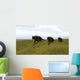 Three Einiosaurus Dinosaurs Walking Wall Decal Design 1