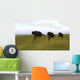 Three Einiosaurus Dinosaurs Walking Wall Decal Design 1