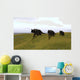 Three Einiosaurus Dinosaurs Walking Wall Decal Design 1