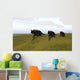 Three Einiosaurus Dinosaurs Walking Wall Decal Design 1