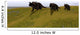 Three Einiosaurus Dinosaurs Walking Wall Decal Design 1