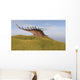 Kentrosaurus Walking through Grassy Wall Decal Design 2