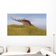 Kentrosaurus Walking through Grassy Wall Decal Design 2