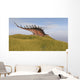 Kentrosaurus Walking through Grassy Wall Decal Design 2