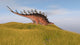 Kentrosaurus Walking through Grassy Wall Decal Design 2