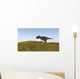 Majungasaurus Walking across Grassy Wall Decal Design 2