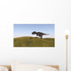 Majungasaurus Walking across Grassy Wall Decal Design 2
