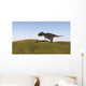 Majungasaurus Walking across Grassy Wall Decal Design 2