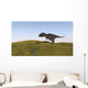Majungasaurus Walking across Grassy Wall Decal Design 2