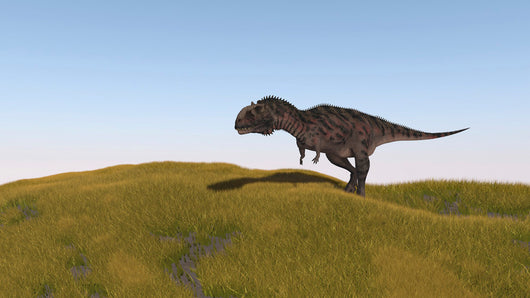 Majungasaurus Walking across Grassy Wall Decal Design 2