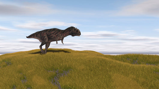 Majungasaurus Walking across Grassy Wall Decal Design 1