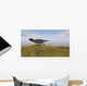 Majungasaurus Running across Grassy Wall Decal Design 3