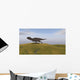 Majungasaurus Running across Grassy Wall Decal Design 3