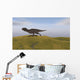 Majungasaurus Running across Grassy Wall Decal Design 3