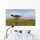 Majungasaurus Running across Grassy Wall Decal Design 3