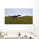 Monolophosaurus Running across Grassy Wall Decal Design 4