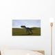Monolophosaurus Walking across Grassy Wall Decal Design 5