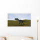 Monolophosaurus Walking across Grassy Wall Decal Design 5