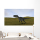 Monolophosaurus Walking across Grassy Wall Decal Design 5